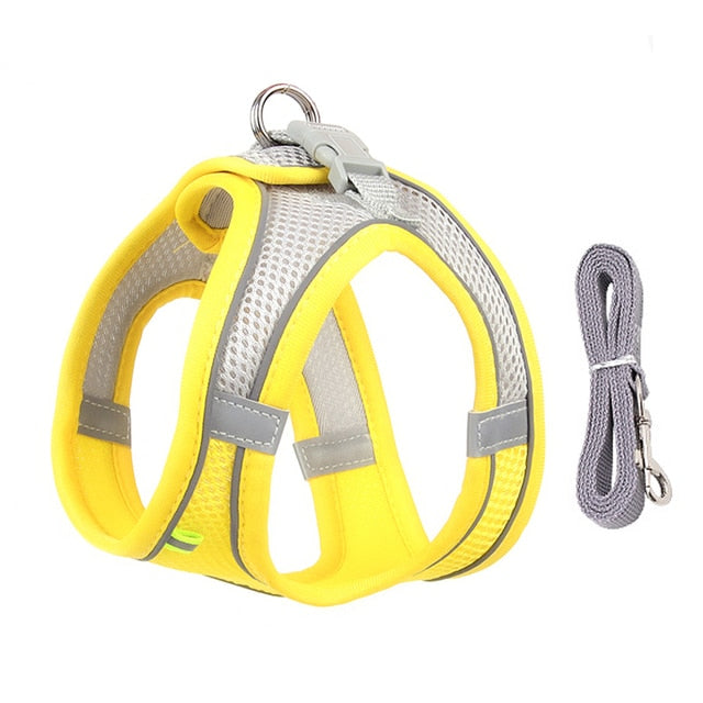 Delve™Dog Harness Leash Set for Small Dogs