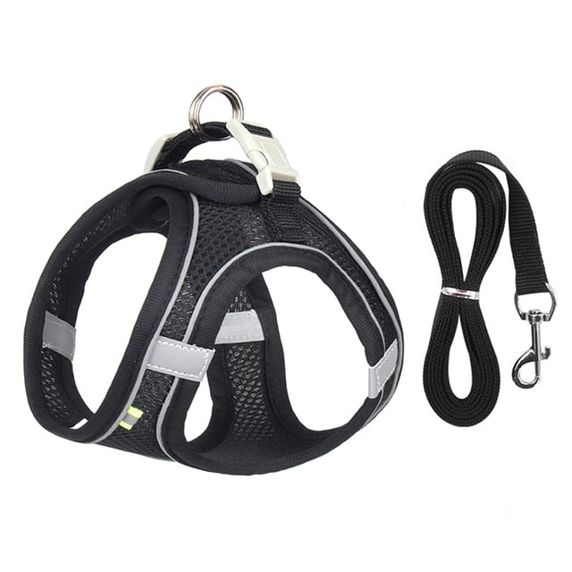 Delve™Dog Harness Leash Set for Small Dogs