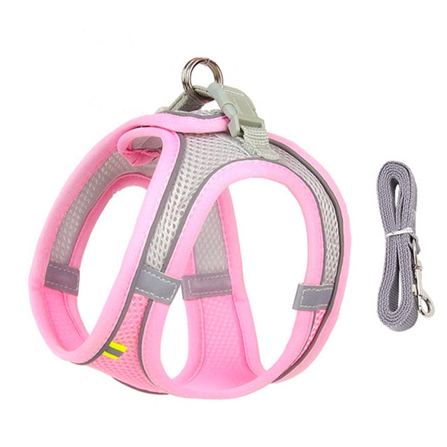 Delve™Dog Harness Leash Set for Small Dogs