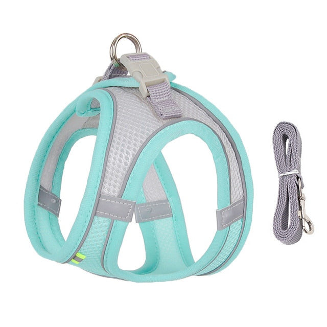 Delve™Dog Harness Leash Set for Small Dogs