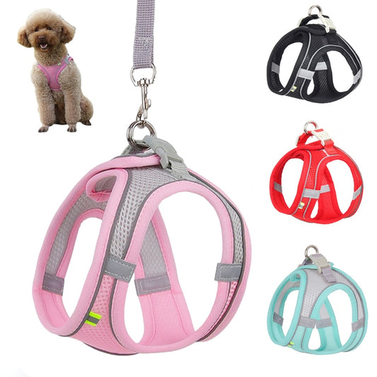 Delve™Dog Harness Leash Set for Small Dogs
