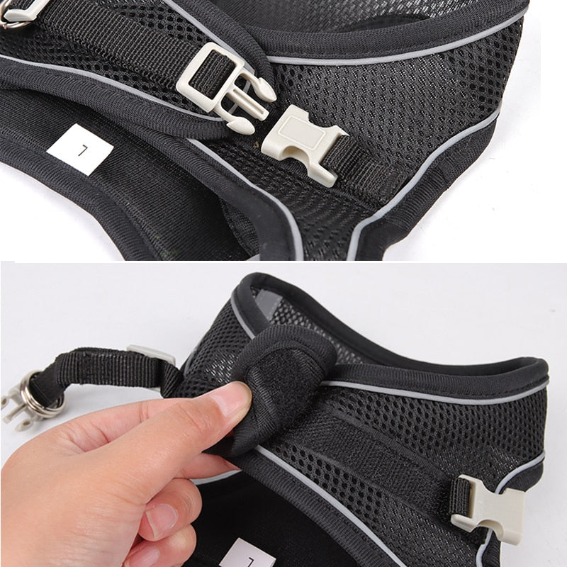 Delve™Dog Harness Leash Set for Small Dogs