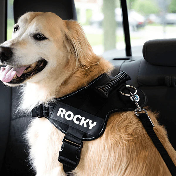 Delve™ Adjustable Dog Safety Seat Belt