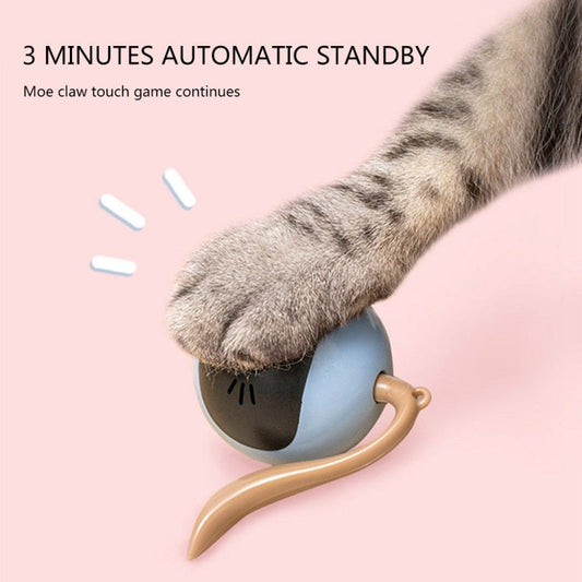 Delve™ Automatic Self Rotating Cat Toy