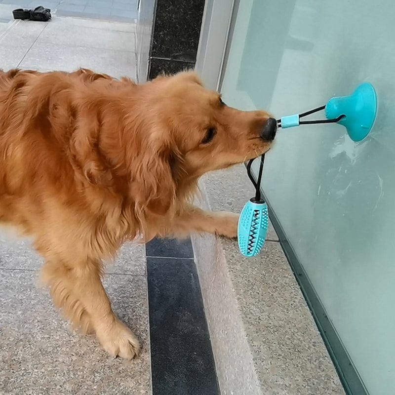 Delve™ Silicone Suction Cup Dog Toy