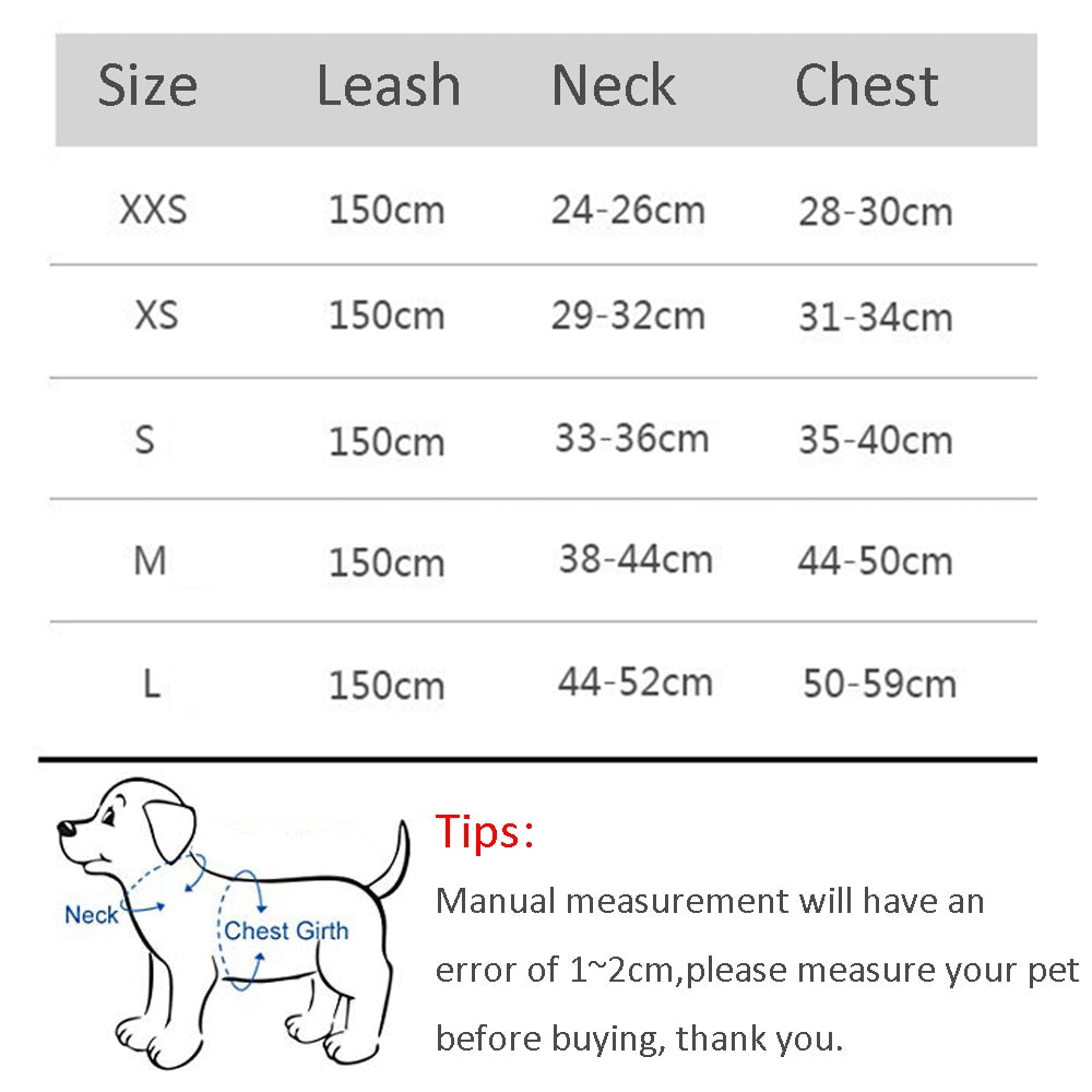 Delve™Dog Harness Leash Set for Small Dogs
